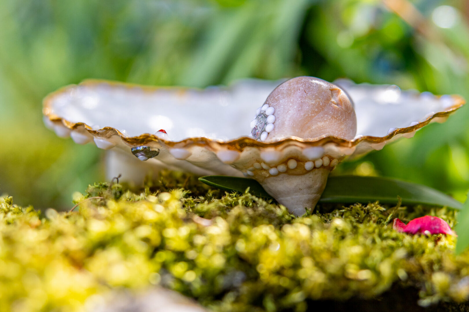 Open scallop shell holding pearl-like stone on moss